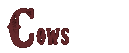Cows