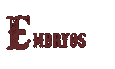 Embryos