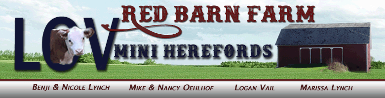 LOV Mini Herefords