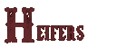 Heifers